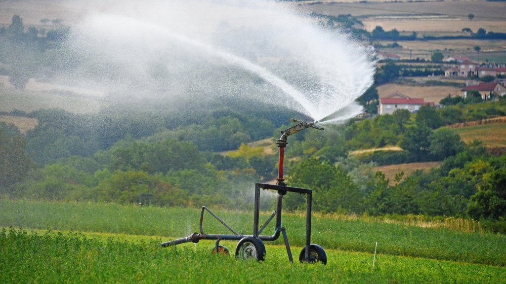 secheresse-eau-arrosage